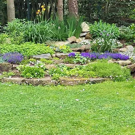 Molas Sveciu Namai 3* Klaipeda