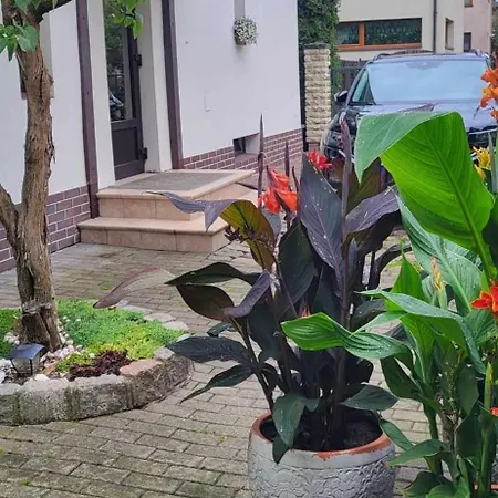 Molas Sveciu Namai 3*