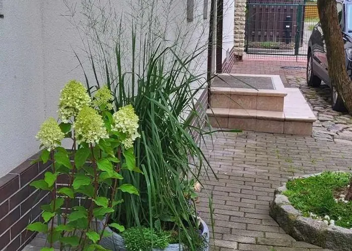 Molas Sveciu Namai Svečių namai 4*