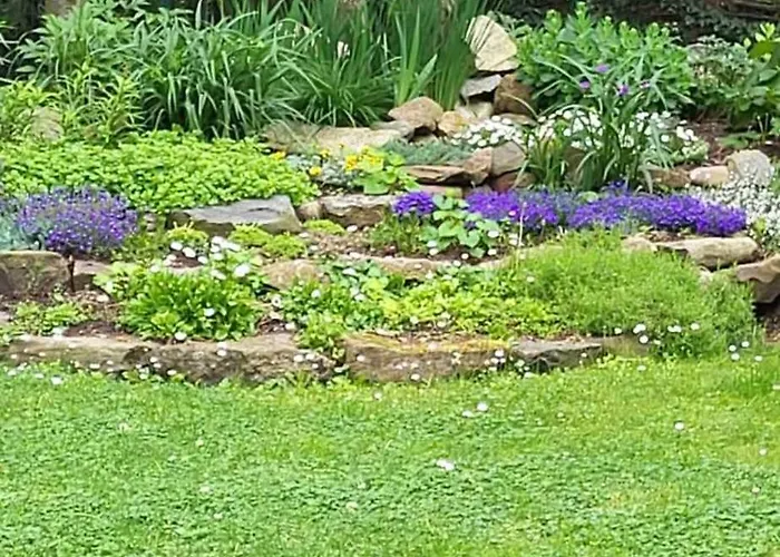 Molas Sveciu Namai 4* Klaipeda