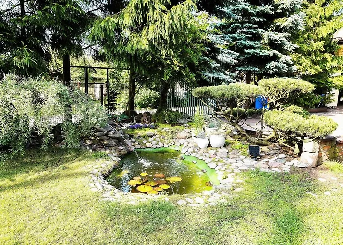 Molas Sveciu Namai Svečių namai